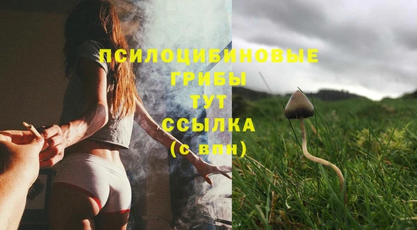 ГАЛЛЮЦИНОГЕННЫЕ ГРИБЫ Володарск